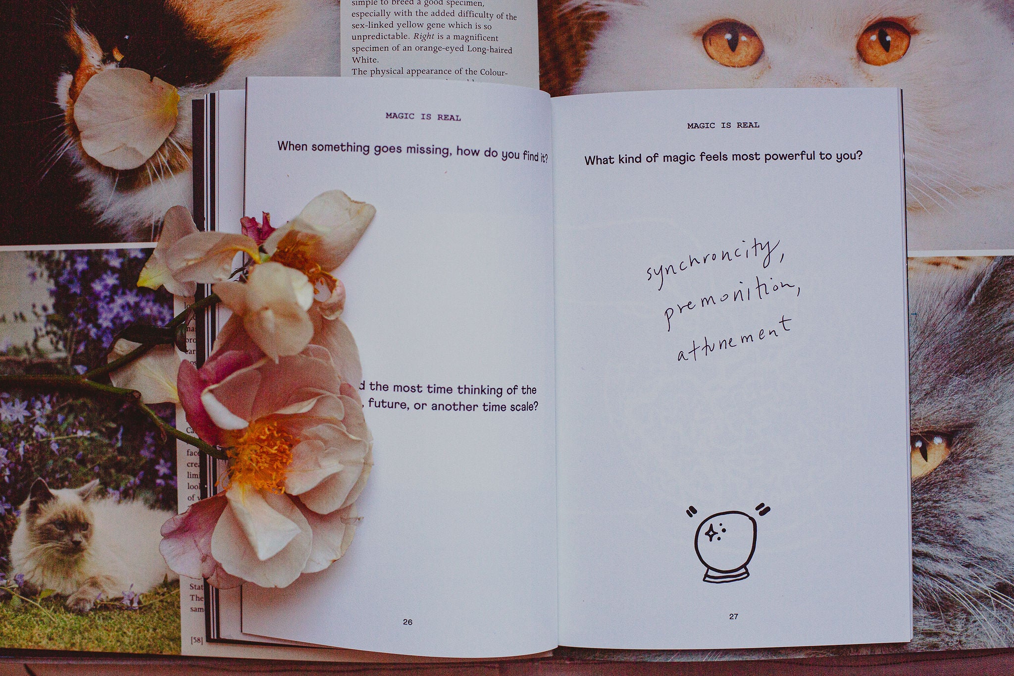 The Imaginary Atlas Journal