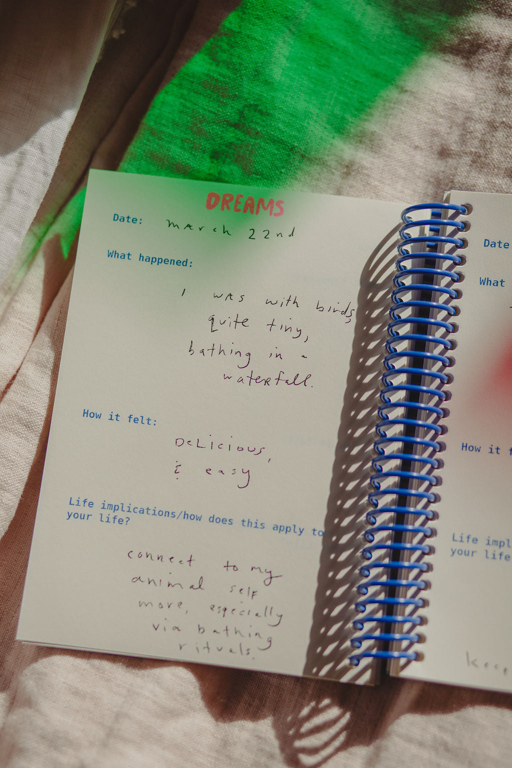 All My Dreams Journal