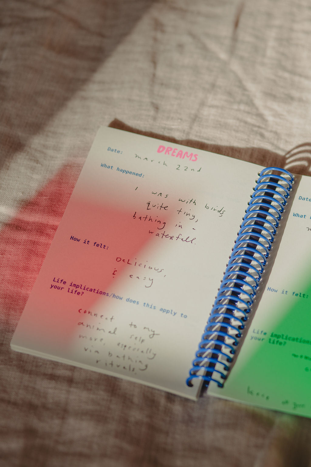 All My Dreams Journal