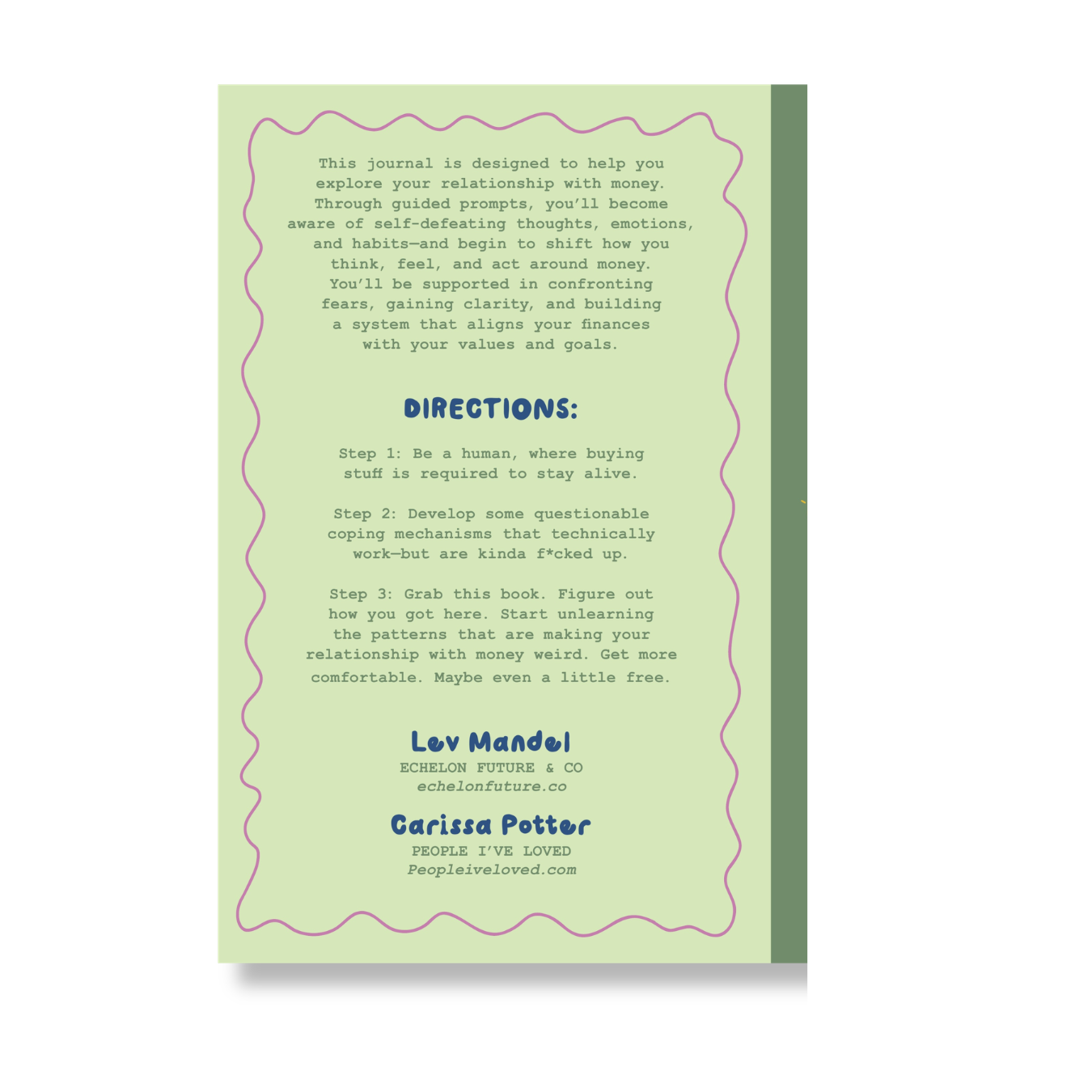 Money Is Weird Journal